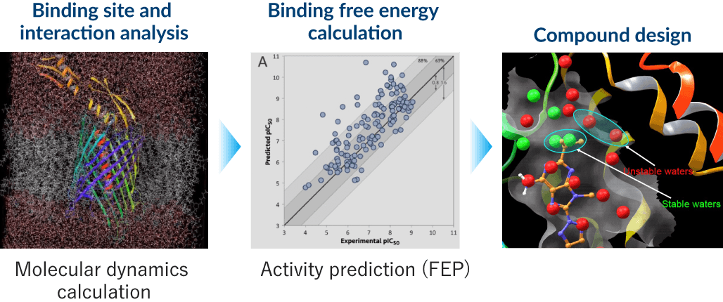 Compound Design Based on Protein Structure Information