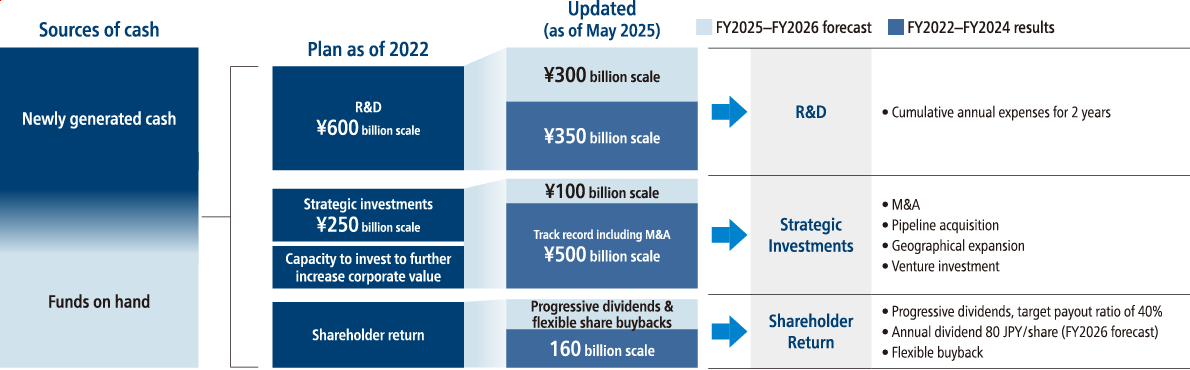 Flow chart: Investment allocation