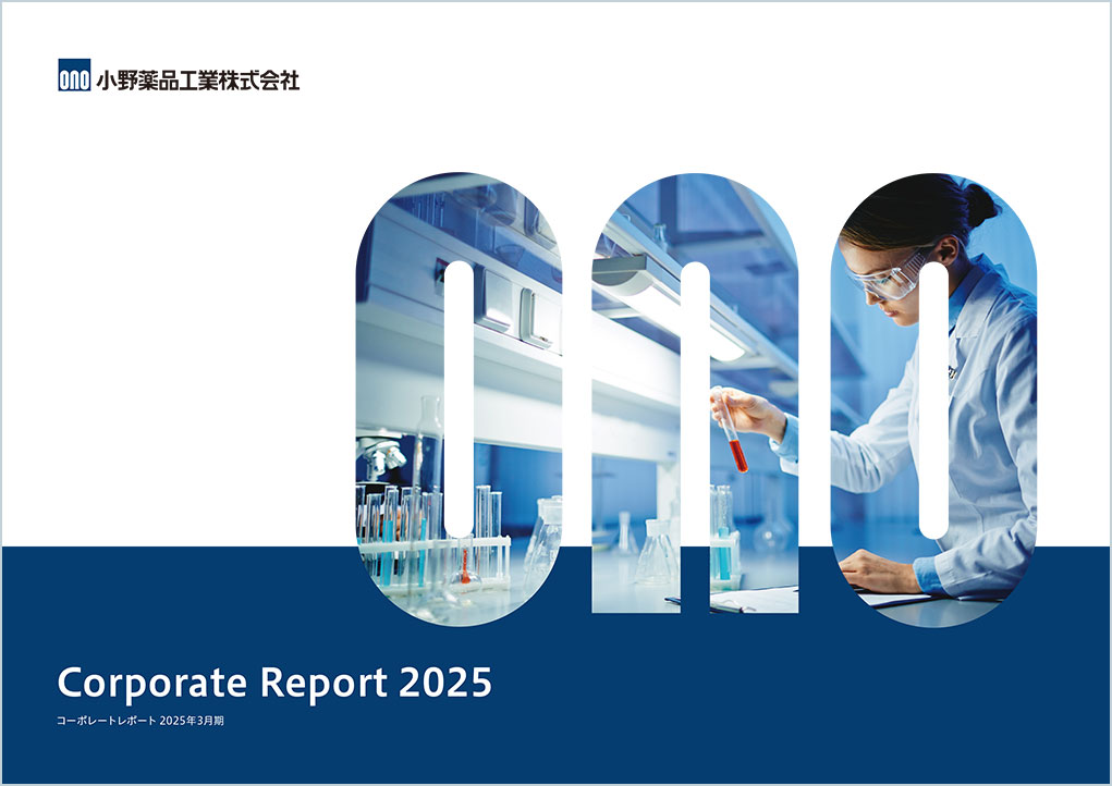2025年度